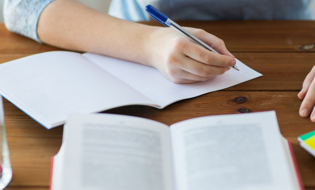 個人調查報告十二篇