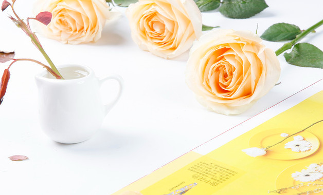 物流公司實(shí)習(xí)報(bào)告精選十二篇