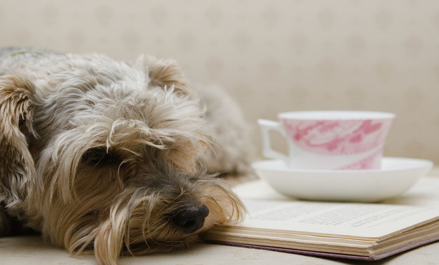 a公司員工宿舍管理辦法（7篇范文）