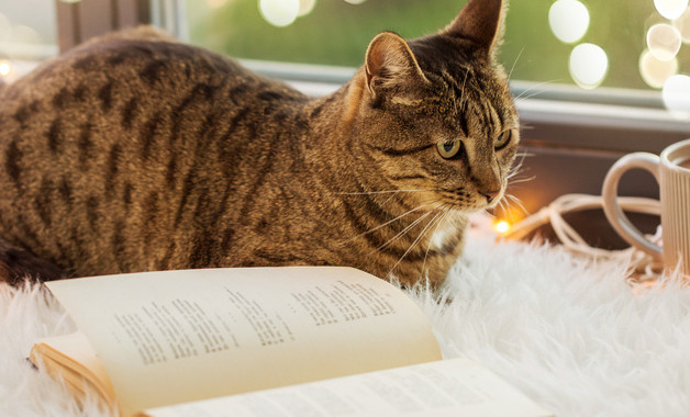 y營業部日常管理規章制度