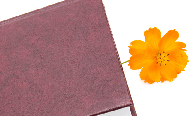 人事行政副總經理崗位職責（20篇范文）