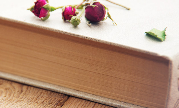 社會實踐調查報告撰寫要求十二篇