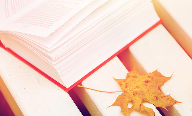 建筑公司采購管理控制工作程序