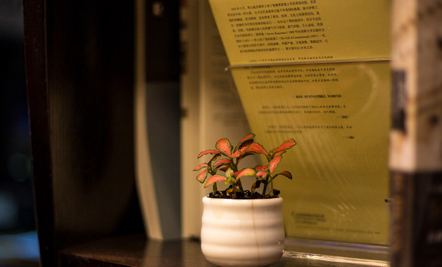 施工現場安全防護用具及機械設備使用監督管理規定（15篇范文）