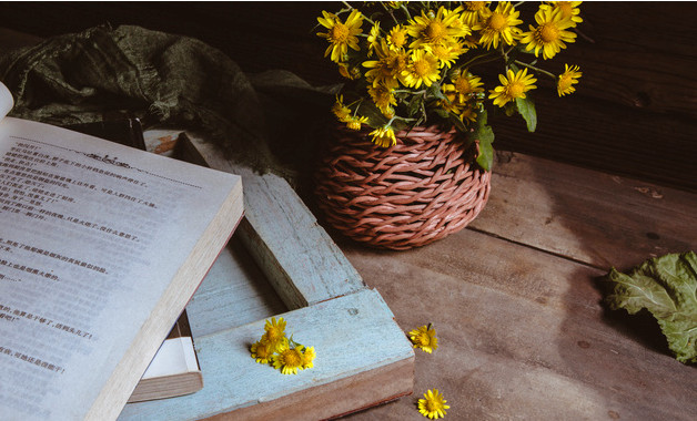 小學(xué)語文評課稿模板（20篇范文）