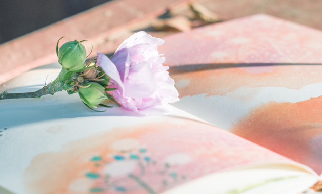 機械設備貿易公司經營范圍（16個范本）