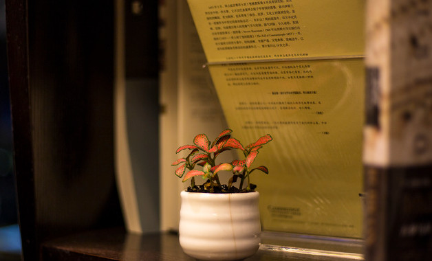 醫院衛生管理制度（20篇范文）