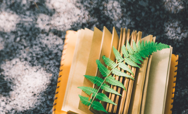 小學(xué)儀器室管理制度-9（九篇）