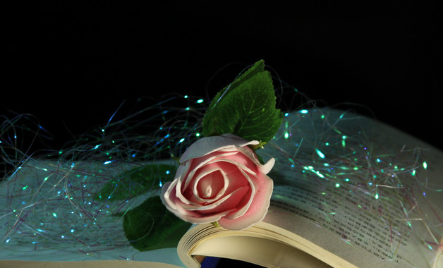 電氣作業安全生產操作規程（十二篇）