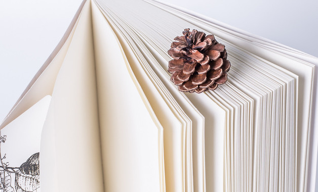 經濟公司經營范圍（100個范本）