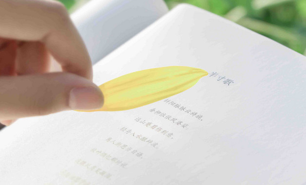 公司勞動紀律管理制度（六篇）