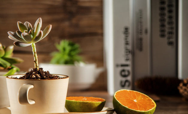 硅整流直流電焊機安全技術操作規程（四篇）