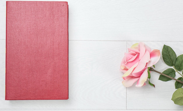 2024機械設計專業實習報告十二篇