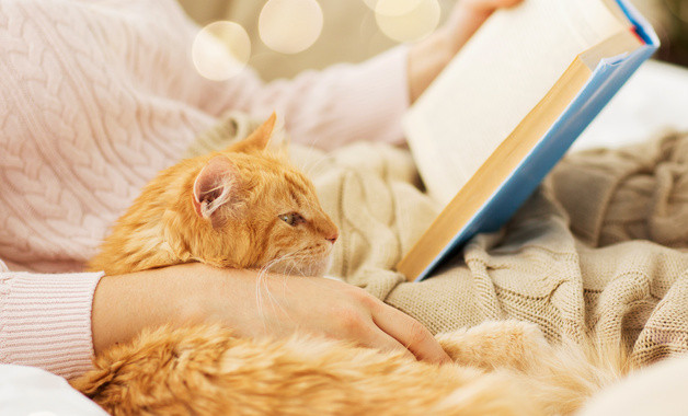 防雷、防靜電設(shè)施安全管理規(guī)定（十一篇）