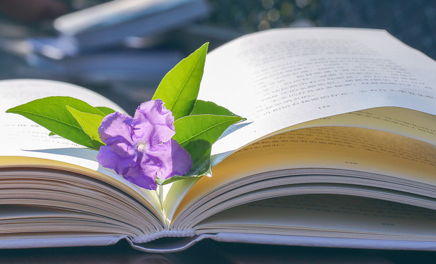 手持電動工具砂輪機、電鉆等安全技術操作規程（四篇）