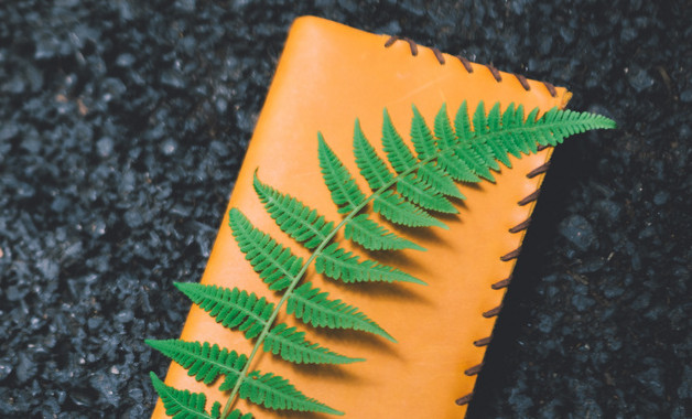 畢業生的調查報告十二篇