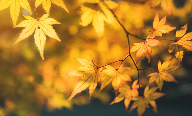 橡塑機械公司經營范圍（44個范本）