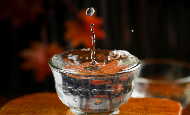 小學體育教師述職報告十二篇