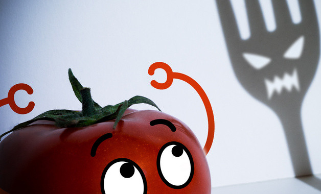 保健食品安全管理制度儲(chǔ)存制度（十一篇）