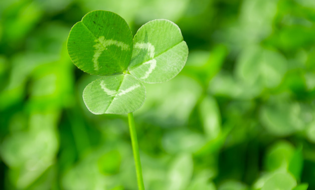 帶鋸床安全操作維護保養規程（九篇）